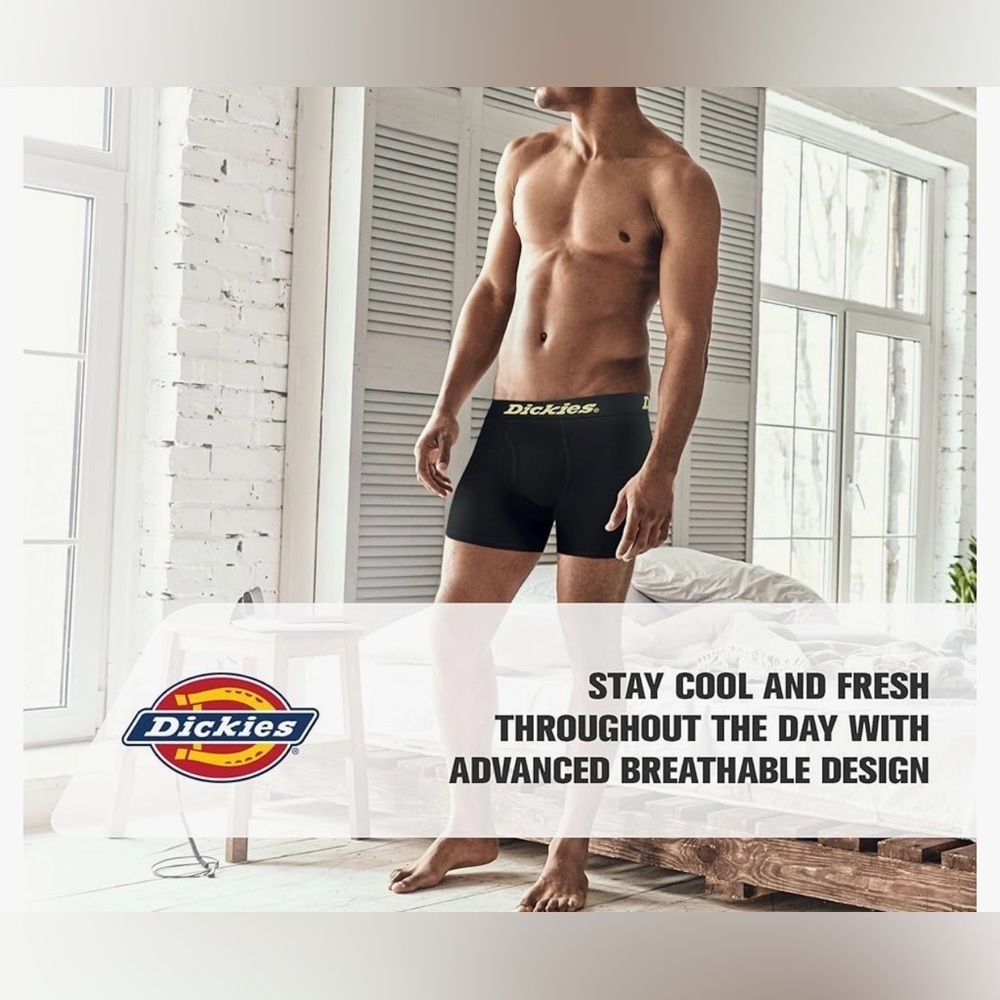 Dickies - Picture 9 of 11